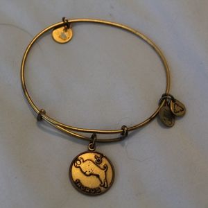 Alex and Ani bracelet
